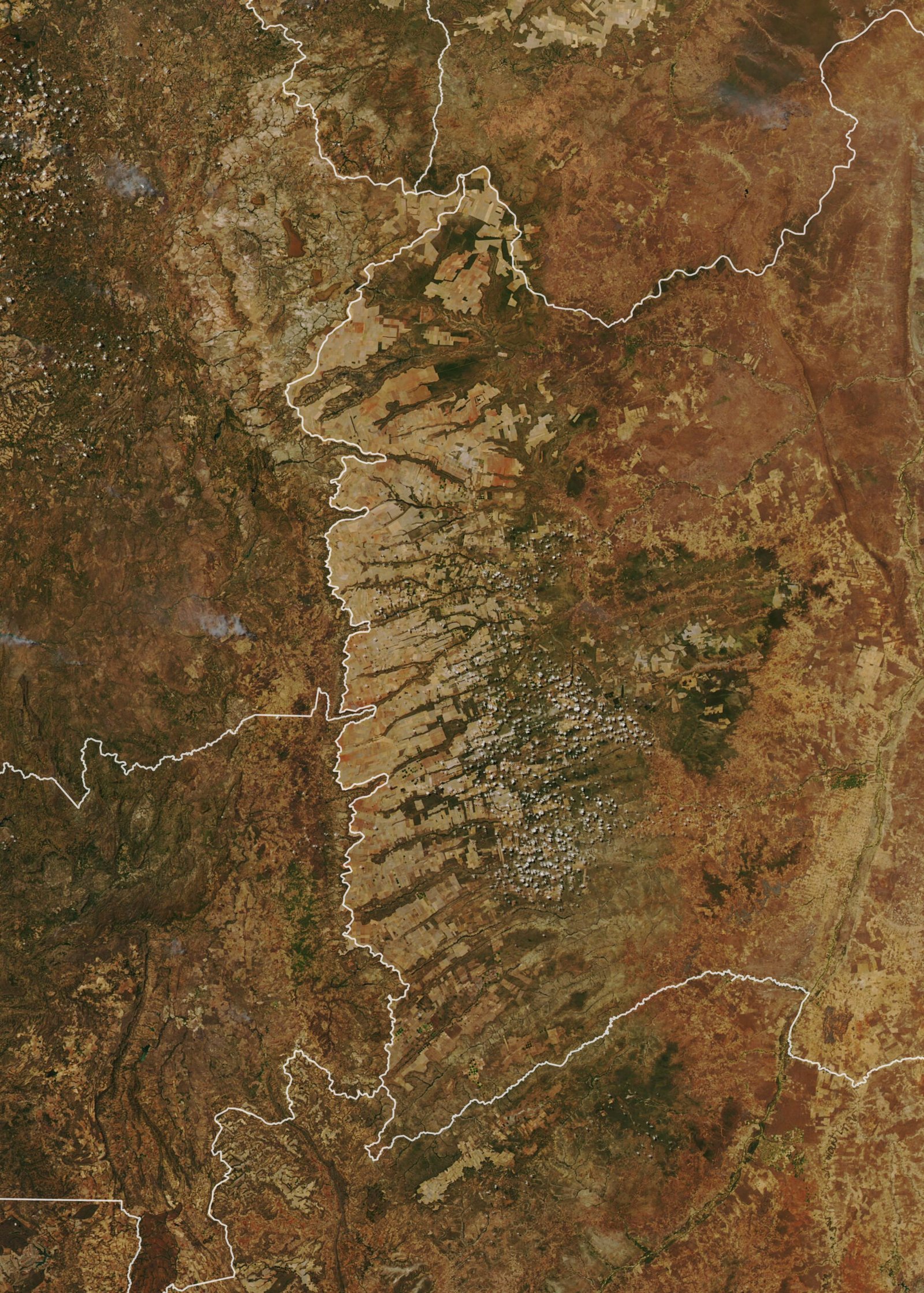 Imagem de satélite mostrando áreas de desmatamento e uso agrícola no Cerrado brasileiro