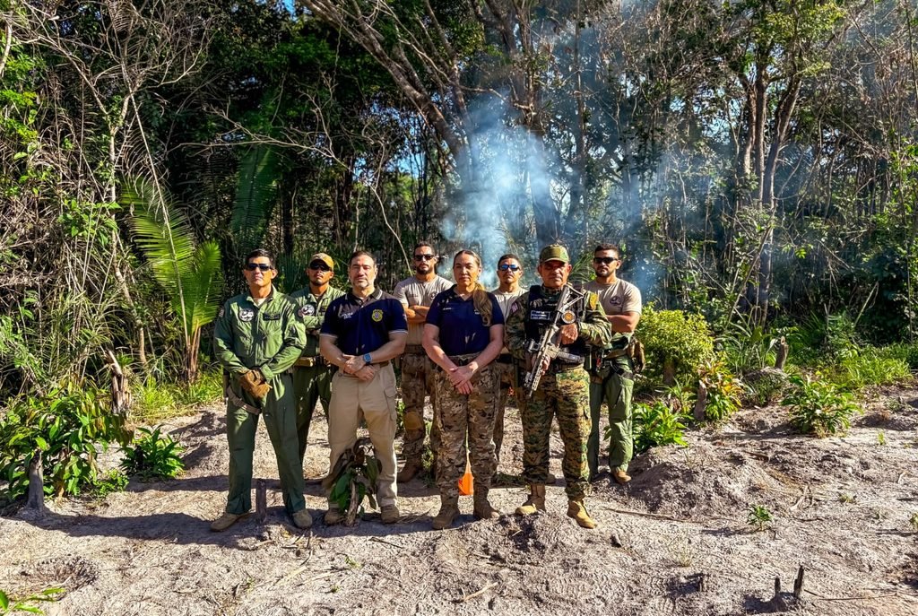 WhatsApp-Image-2026-09-18-at-19.10.32-1024x687 Segurança pública erradica 35 mil pés de maconha em uma semana e causa prejuízo estimado de R$ 8,2 milhões ao crime