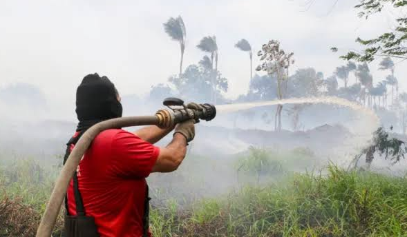 hgvh Órgão de controle pede reforço contra avanço das queimadas no sul do Amazonas